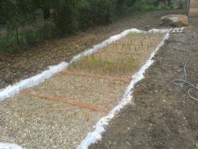 Assainissement eaux usees par la phytoepuration Assainissement eaux usees par la phytoepuration