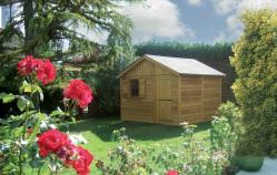 Joli abri de jardin en bois naturel